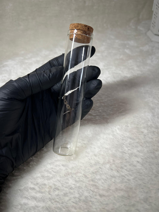 Bouteilles en verre avec bouchons en Liège